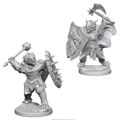 Dragonborn Paladin